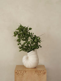 ferm LIVING off-white Shell Vase styled with stems on a neutral surface