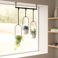 Umbra Triflora hanging planters suspended across a bright window