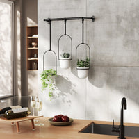 Umbra Triflora hanging planters displayed on a concrete kitchen wall