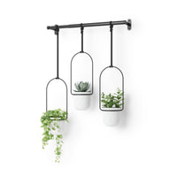 Umbra Triflora set of three white hanging planters on a black rod planted with greenery on a white background
